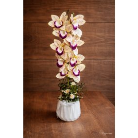Élethű vidám Orchidea kompozíció