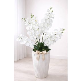 ÉLethű orchidea