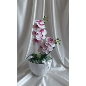 Orchidea csokor 