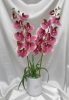 Orchidea élethű csokor 